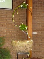 Flower Festival June 2012 - Birth